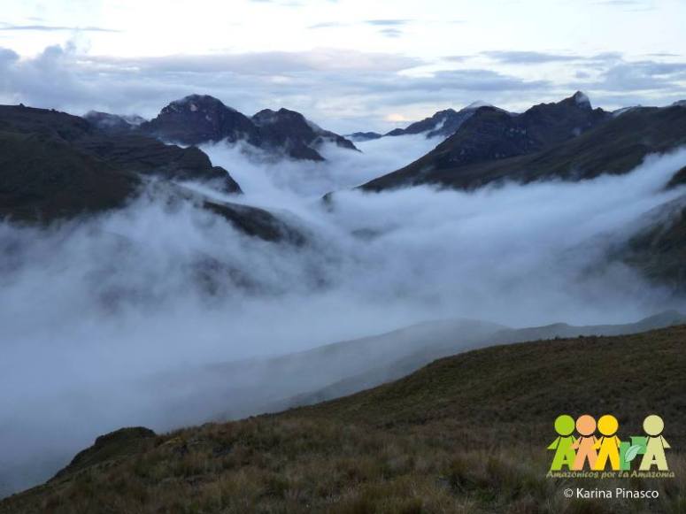 Páramos con nubes en la Concesión para la Conservación Alto Huayabamba. (Foto: Karina Pinasco).